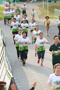 BIB: 
                            <button type="button" onclick="openModal(3549799)" class="btn btn-primary btn-sm float-right btn-popup" data-toggle="modal" data-target=".modal-high-quality">
                        <i class="fas fa-shopping-cart"></i> Add to Cart
                    </button>
                                            <button type="button" onclick="isThisMe(3549799, true)" class="btn btn-success btn-sm float-right btn-popup btn-isme hidden" data-toggle="tooltip" data-placement="bottom" title="นี่คือรูปของคุณใช่ไหม คลิกที่นี่เพื่อเอาเข้าอัลบั้ม">
                        <i class="fas fa-plus"></i> Add to album
                    </button>
                    <button type="button" onclick="isThisMe(3549799, false)" class="btn btn-warning btn-sm float-right btn-popup btn-isnotme hidden">
                        <i class="fas fa-ban"></i> Remove from album
                    </button>